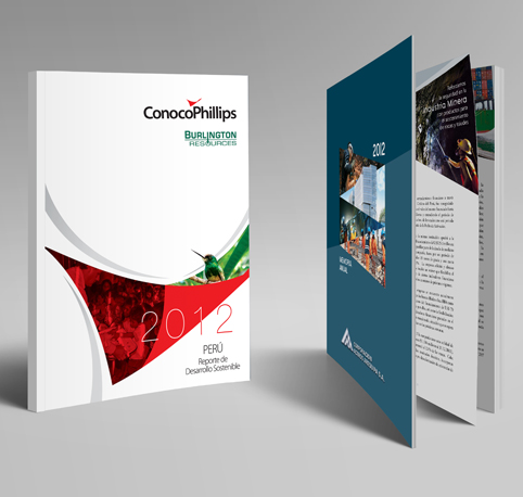 CONCEPTUALIZACIÓN Y DISEÑO GRÁFICO / PUBLICITARIO
